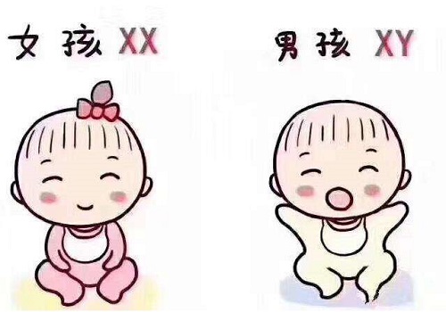 试管婴儿费用明细？？